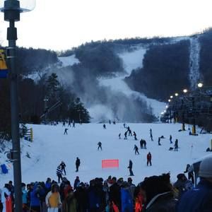 Meet your Posher, Victor